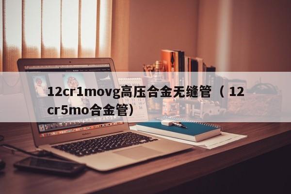 12cr1movg高壓合金無縫管（ 12cr5mo合金管）
