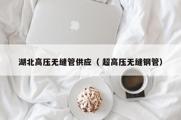 湖北高壓無縫管供應(yīng)（ 超高壓無縫鋼管）